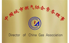 中国城市燃气协会常务理事